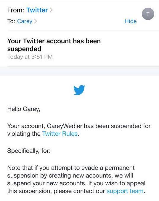 Email from Twitter posted online by Carey Wedler