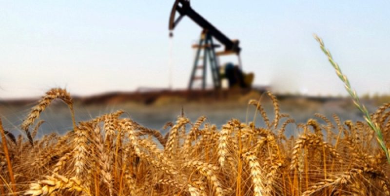 oil-rig-wheat-field
